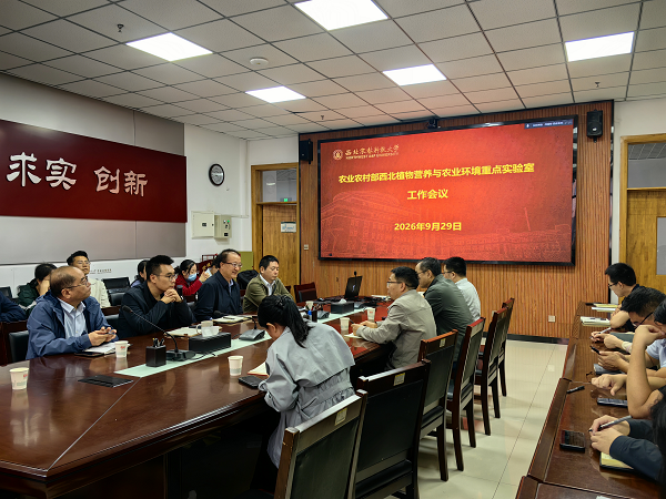 图片 1.png